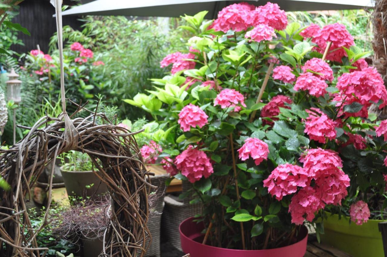 Hofgarten Rosa Ilbesheim bei Landau in der Pfalz 외부 사진