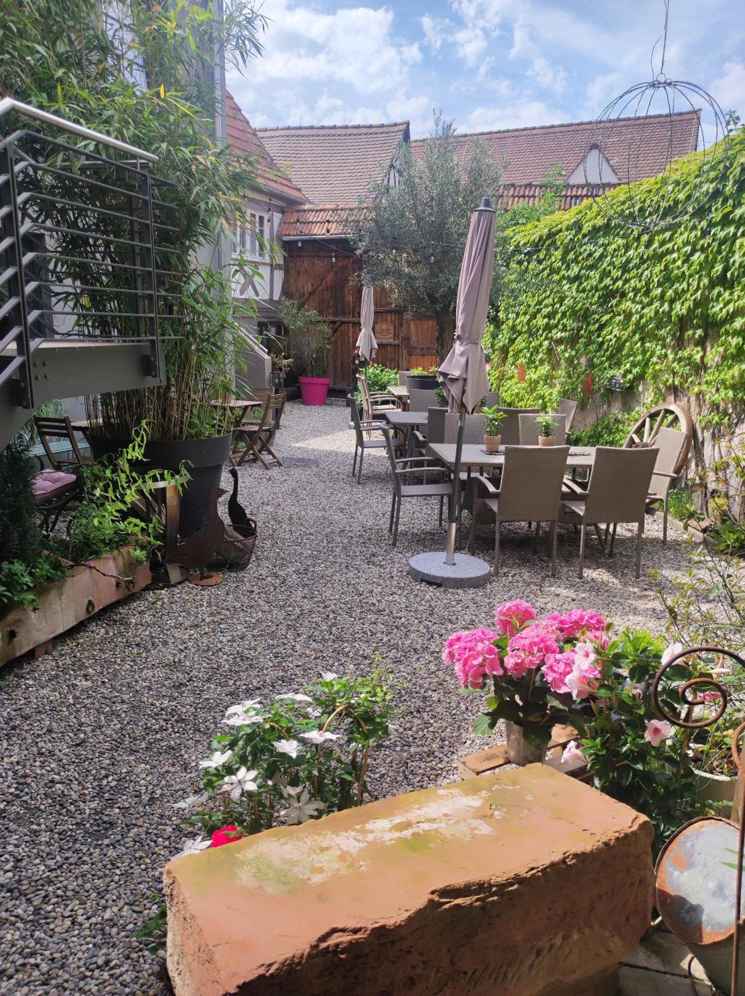 Hofgarten Rosa Ilbesheim bei Landau in der Pfalz 외부 사진