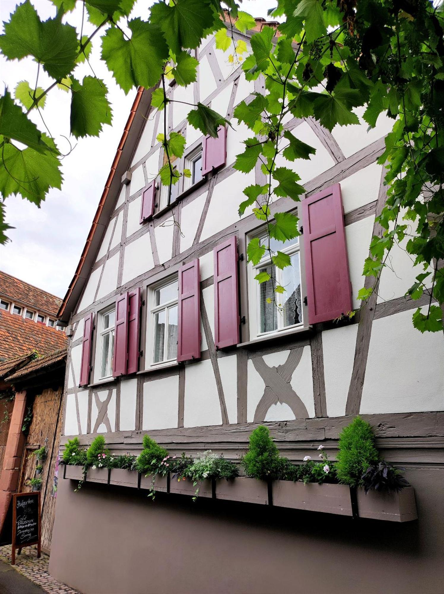 Hofgarten Rosa Ilbesheim bei Landau in der Pfalz 외부 사진