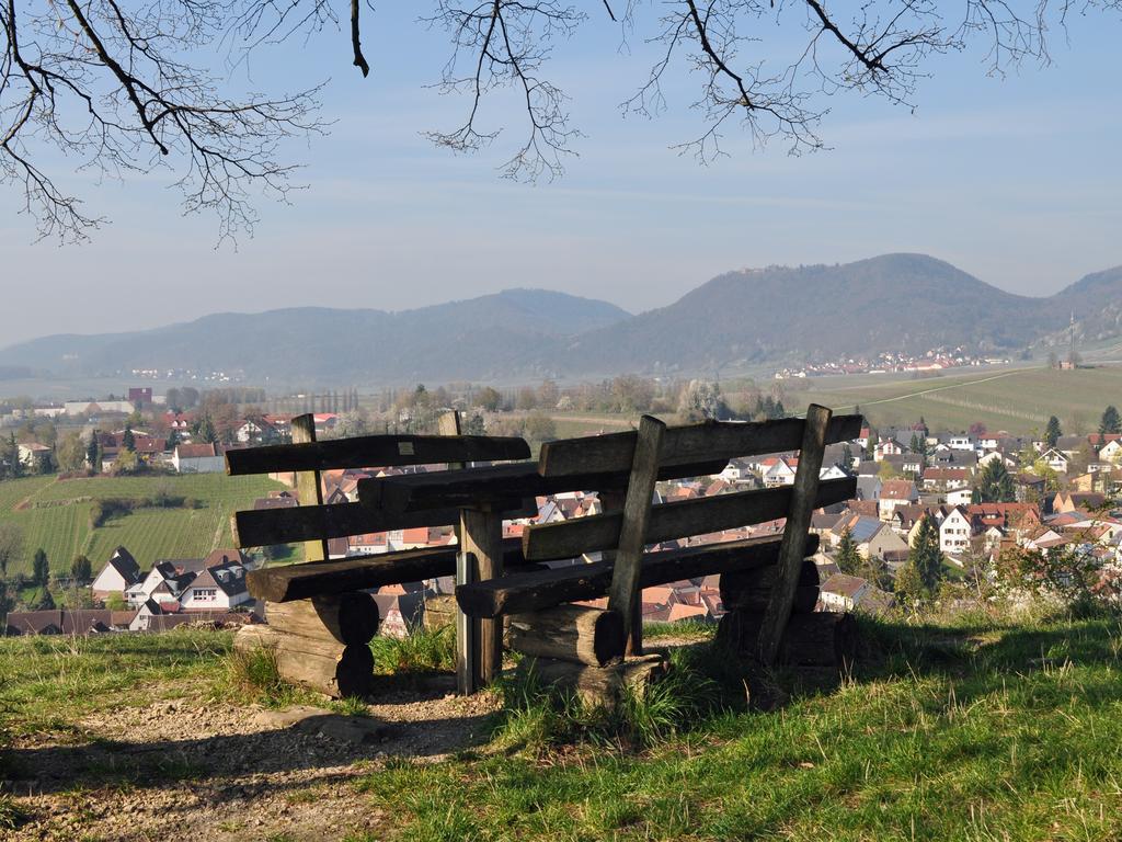 Hofgarten Rosa Ilbesheim bei Landau in der Pfalz 외부 사진