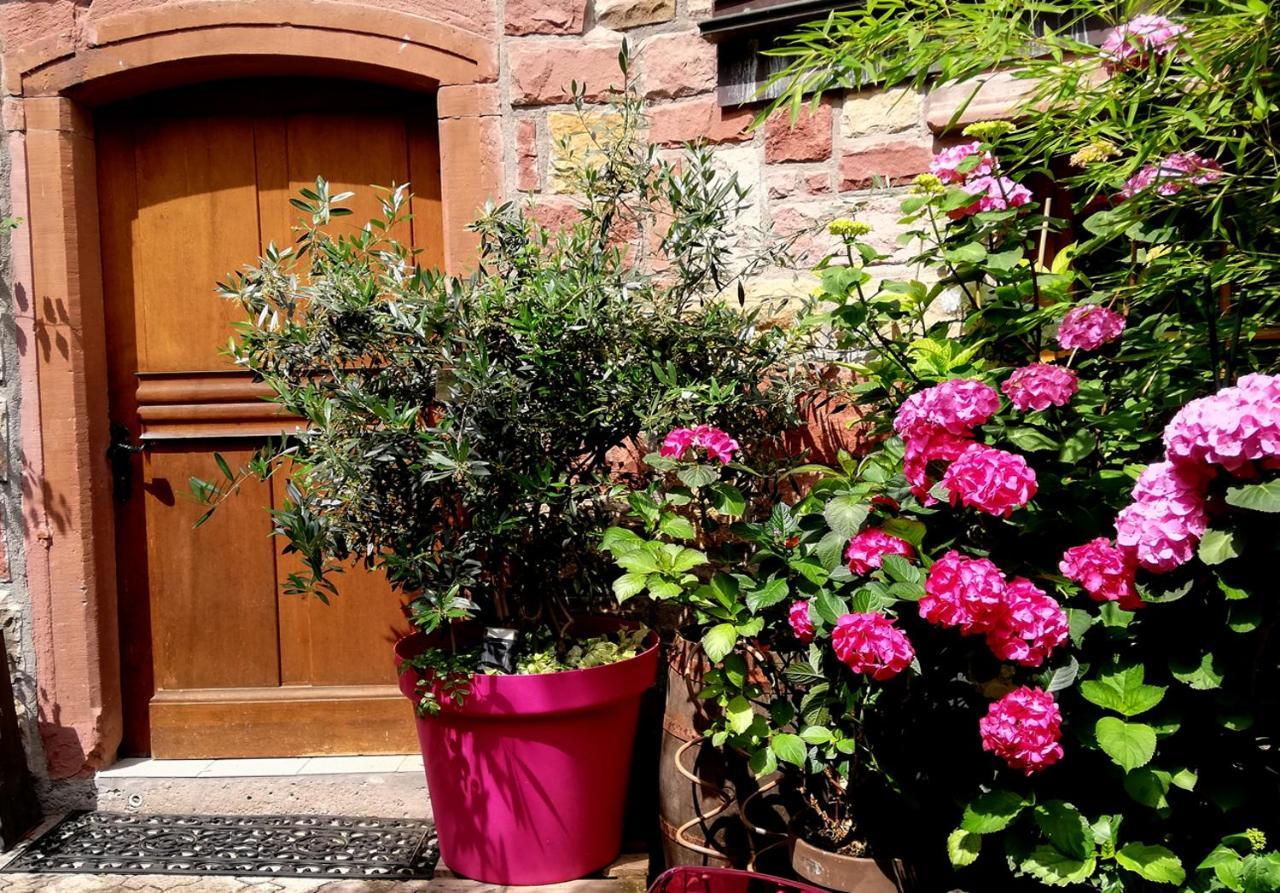 Hofgarten Rosa Ilbesheim bei Landau in der Pfalz 외부 사진